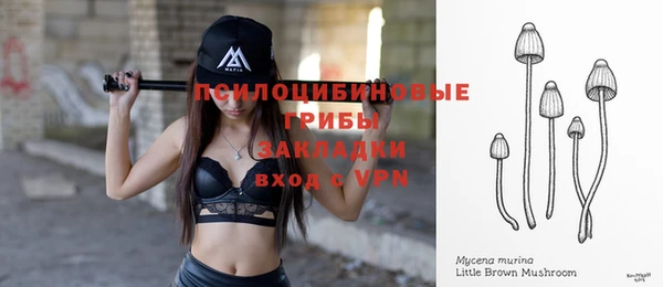 apvp Надым