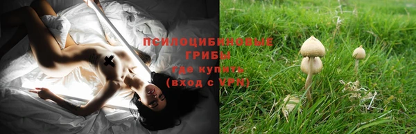 альфа пвп Наволоки